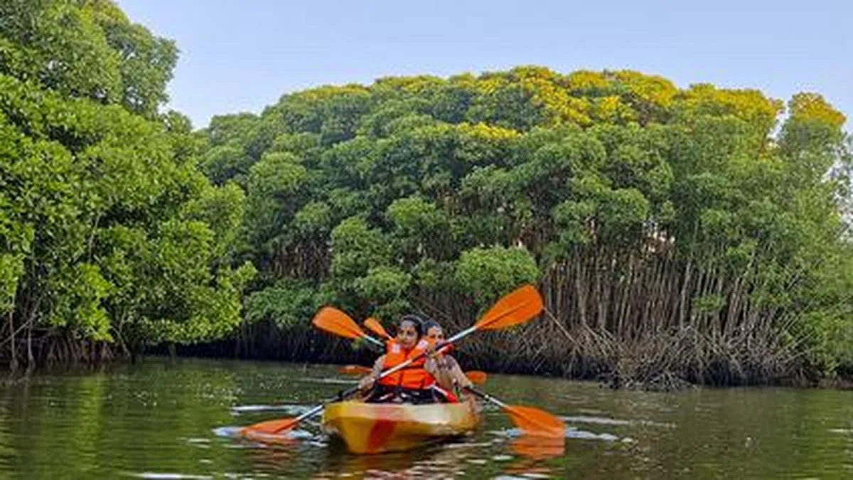 Kayaking adventure
