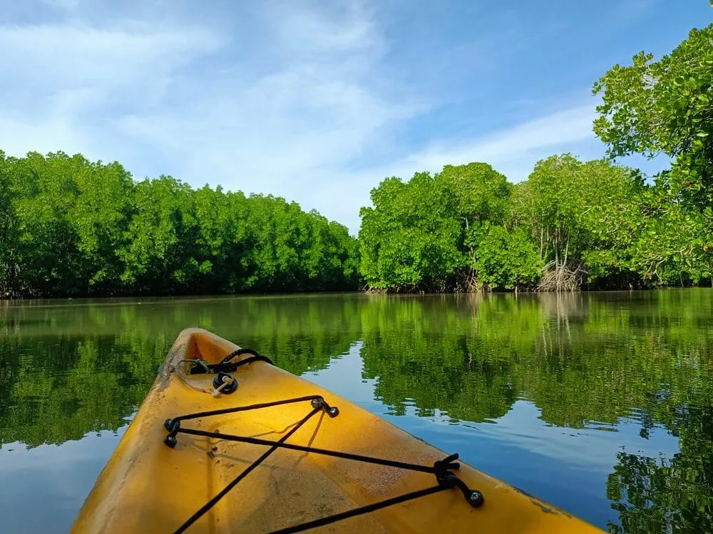 Friends Group Kayaking