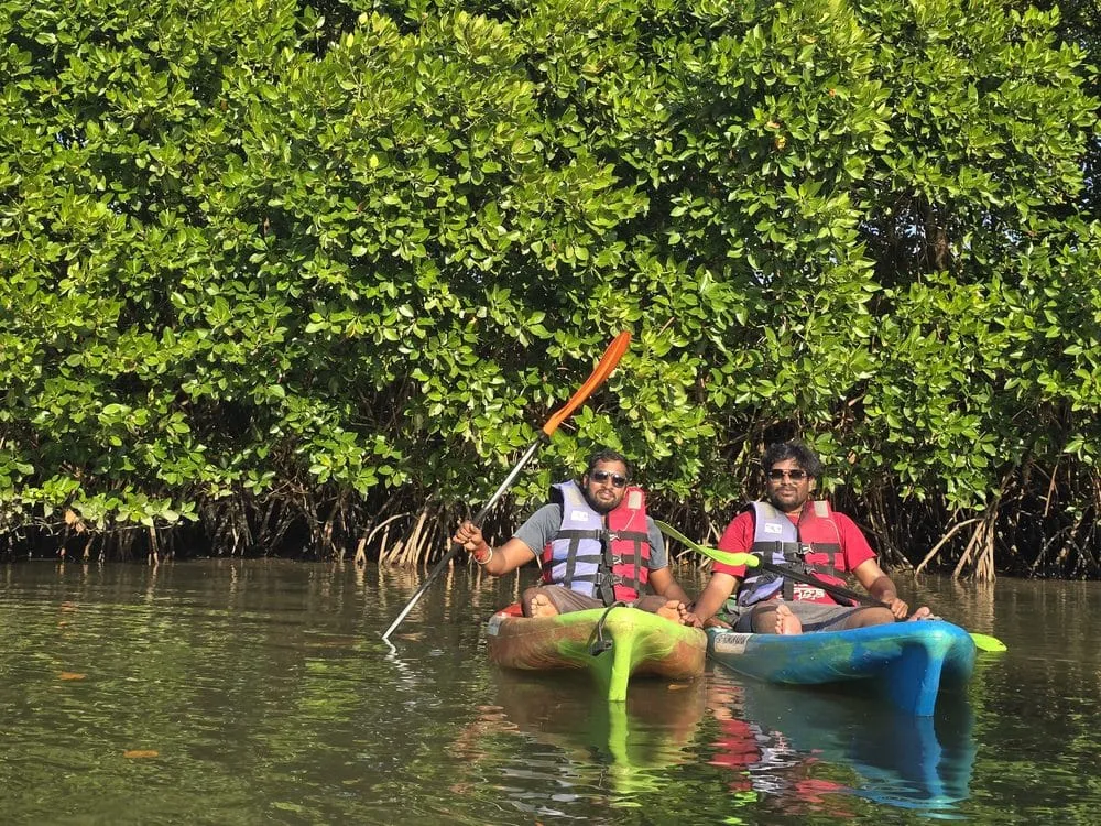 Celebrity Mangrove Adventure